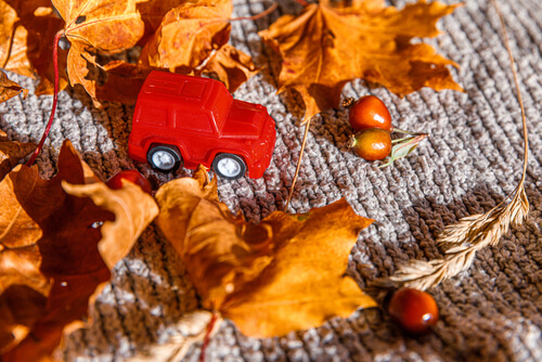 Thanksgiving car travel tips