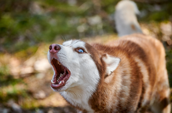 february case highlight