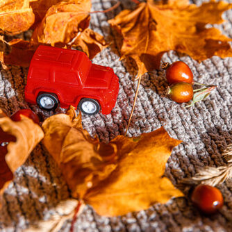 Thanksgiving car travel tips